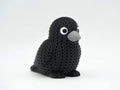 Black Crow